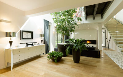 We Know Money Doesn’t Grow On Trees